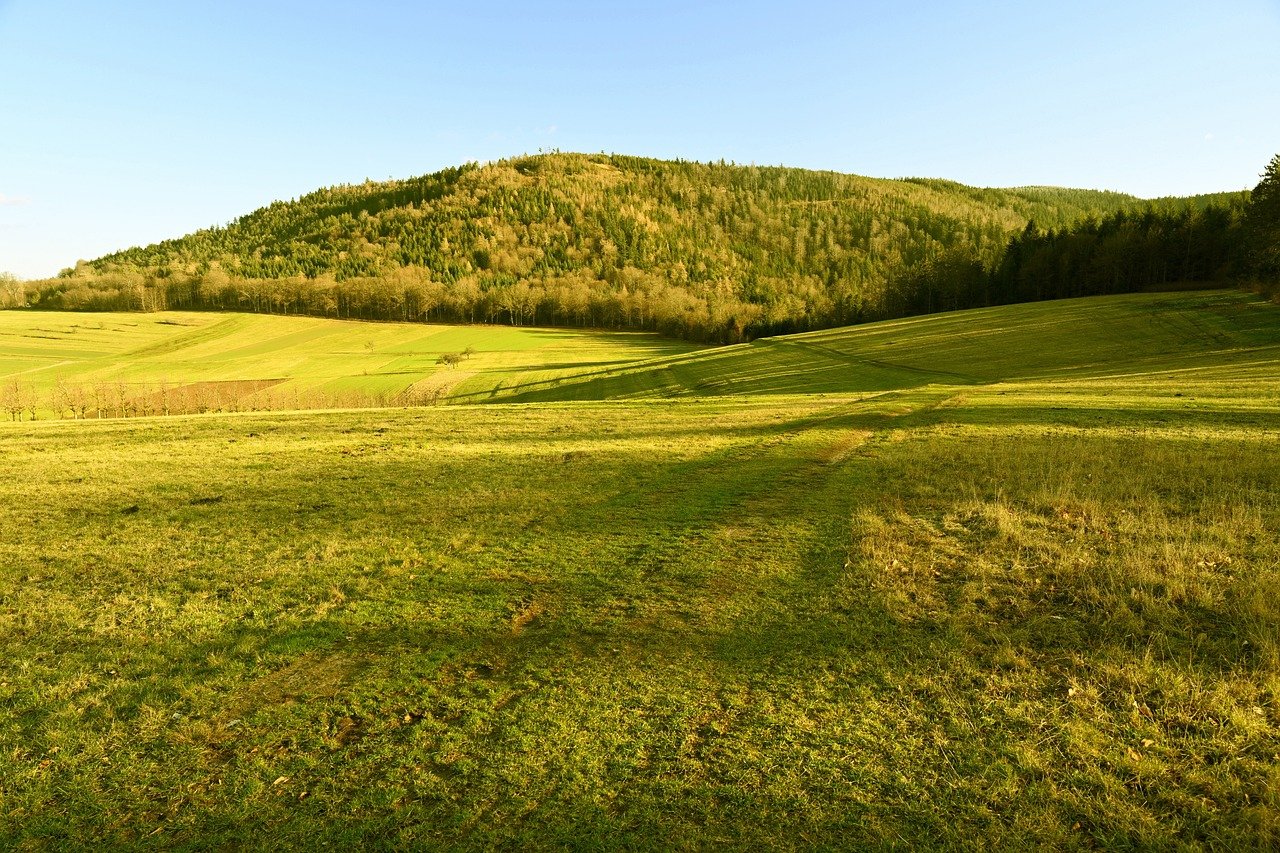 Wahoo Fitness ELEMNT Bolt V2 GPS Bike Computer: An In-Depth 2025 Review